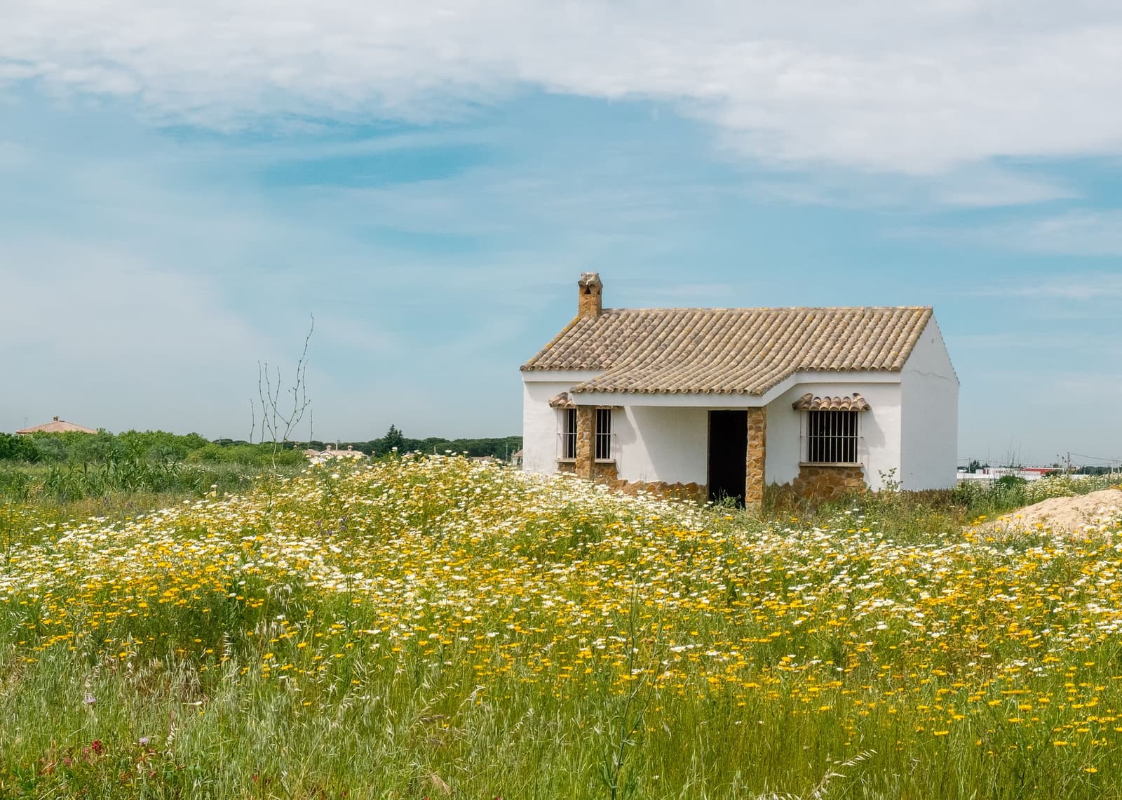 Casa blanca rodeada de campo